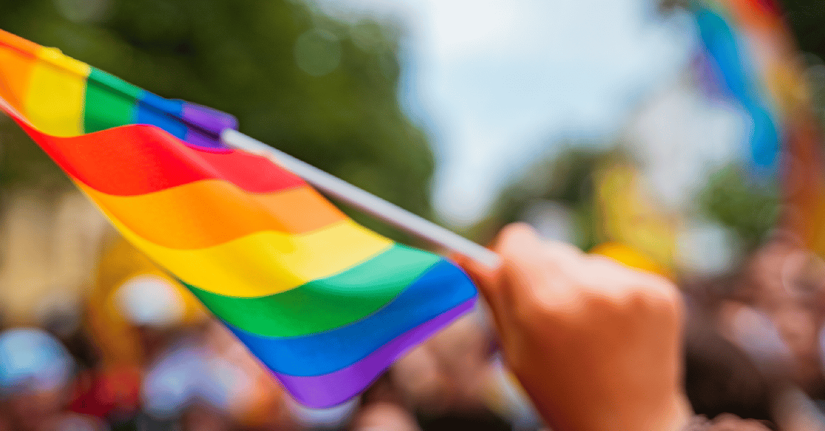 a person holding a rainbow flag